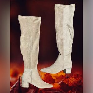 NWT Chase + Chloe Over the Knee Boots - Wynter 1, Nude Suede, Size 11